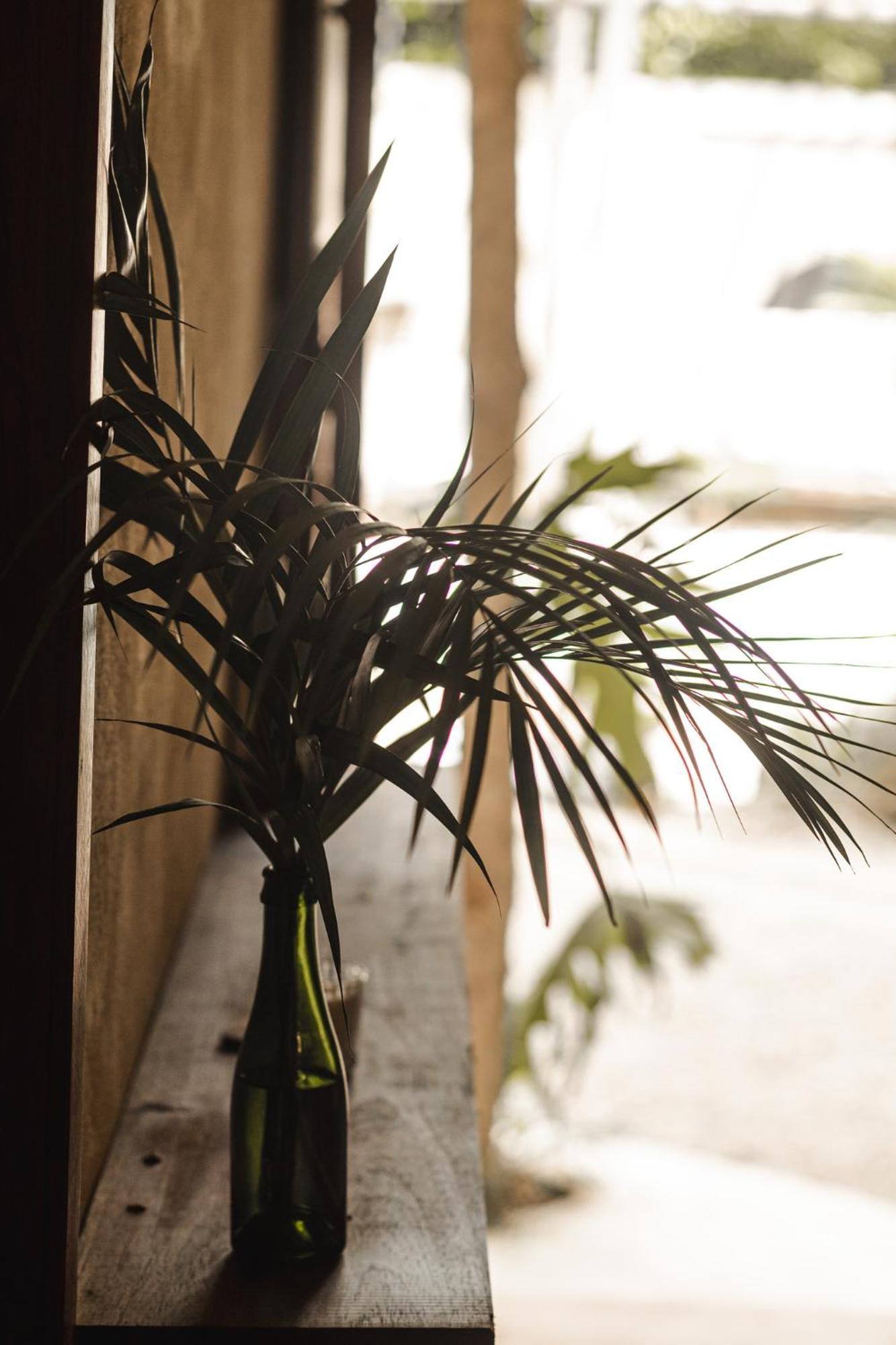 Chill Kanil Tulum Rom bilde